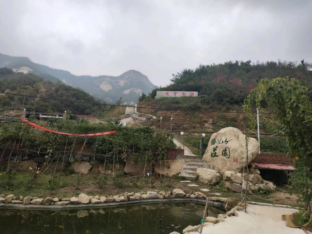 救援农场少年