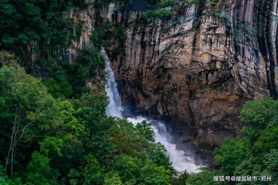 可爱宝宝大作战