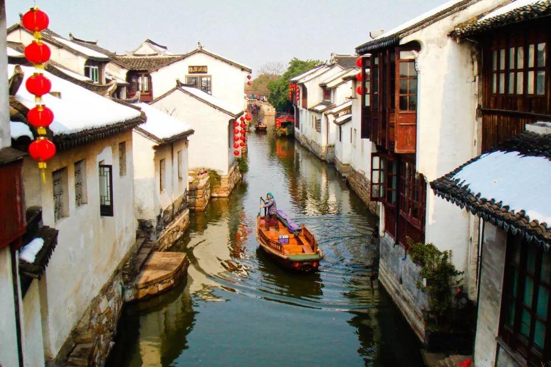 救援大嘴鸟
