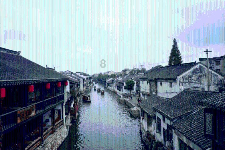悲伤兔大冒险
