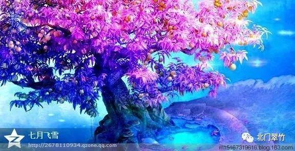 疯狂的小猫