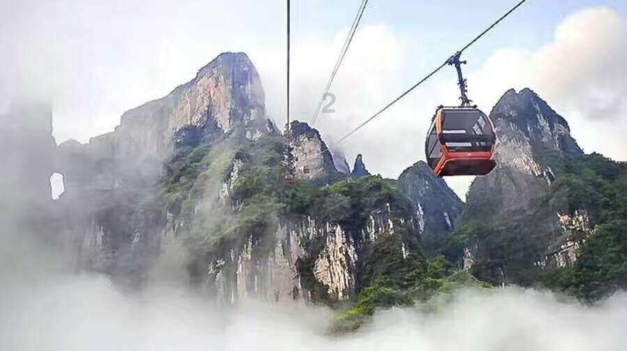 寻找火鸡